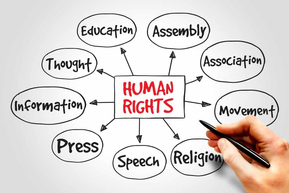 Human Rights Lawyer